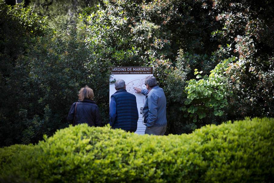 Fotos de los jardines del Palacio de Marivent