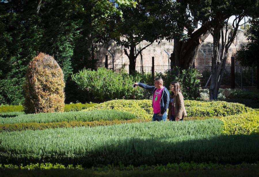 Fotos de los jardines del Palacio de Marivent