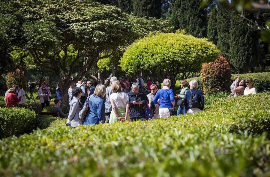 Fotos de los jardines del Palacio de Marivent