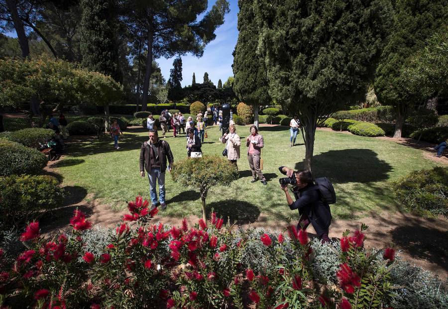 Fotos de los jardines del Palacio de Marivent