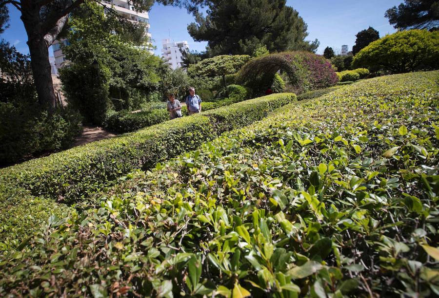 Fotos de los jardines del Palacio de Marivent