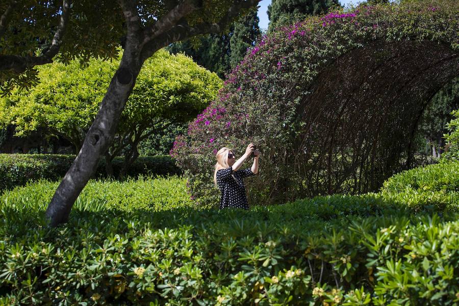 Fotos de los jardines del Palacio de Marivent