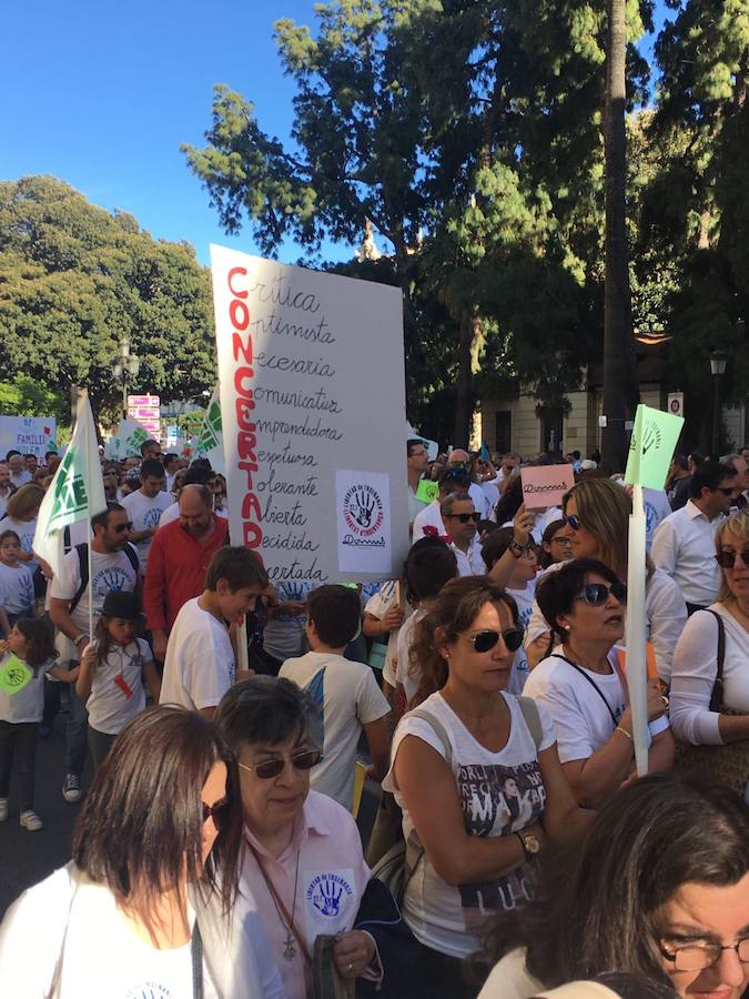 Fotos manifestación por la libertad educativa (I)