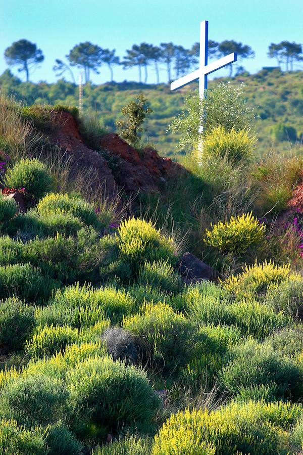 Desert de les Palmes. 