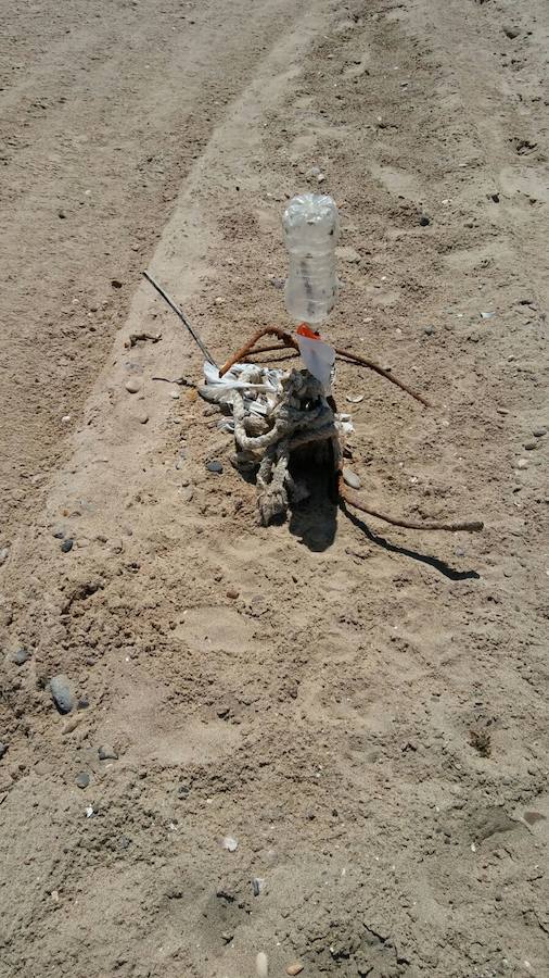 Fotos de la reconstrucción de la playa en la Casbah, El Saler