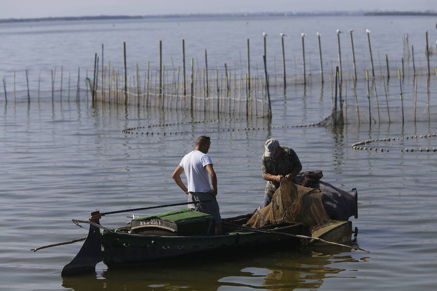 Fotos de la Devesa-Albufera de Valencia