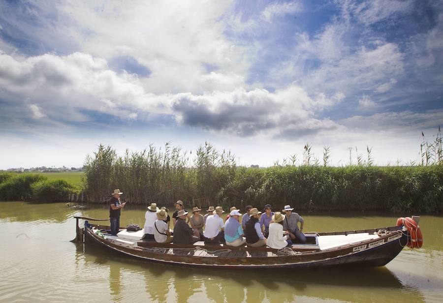 Fotos de la Devesa-Albufera de Valencia