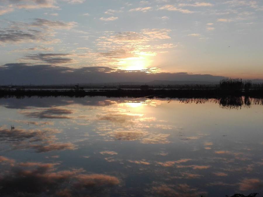 Fotos de la Devesa-Albufera de Valencia