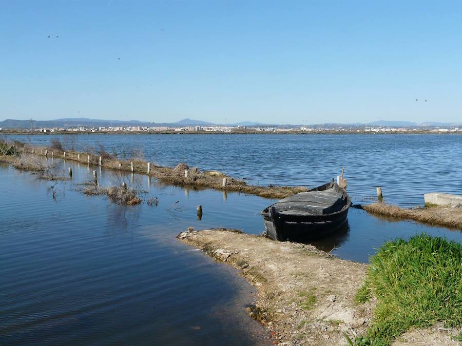 Fotos de la Devesa-Albufera de Valencia