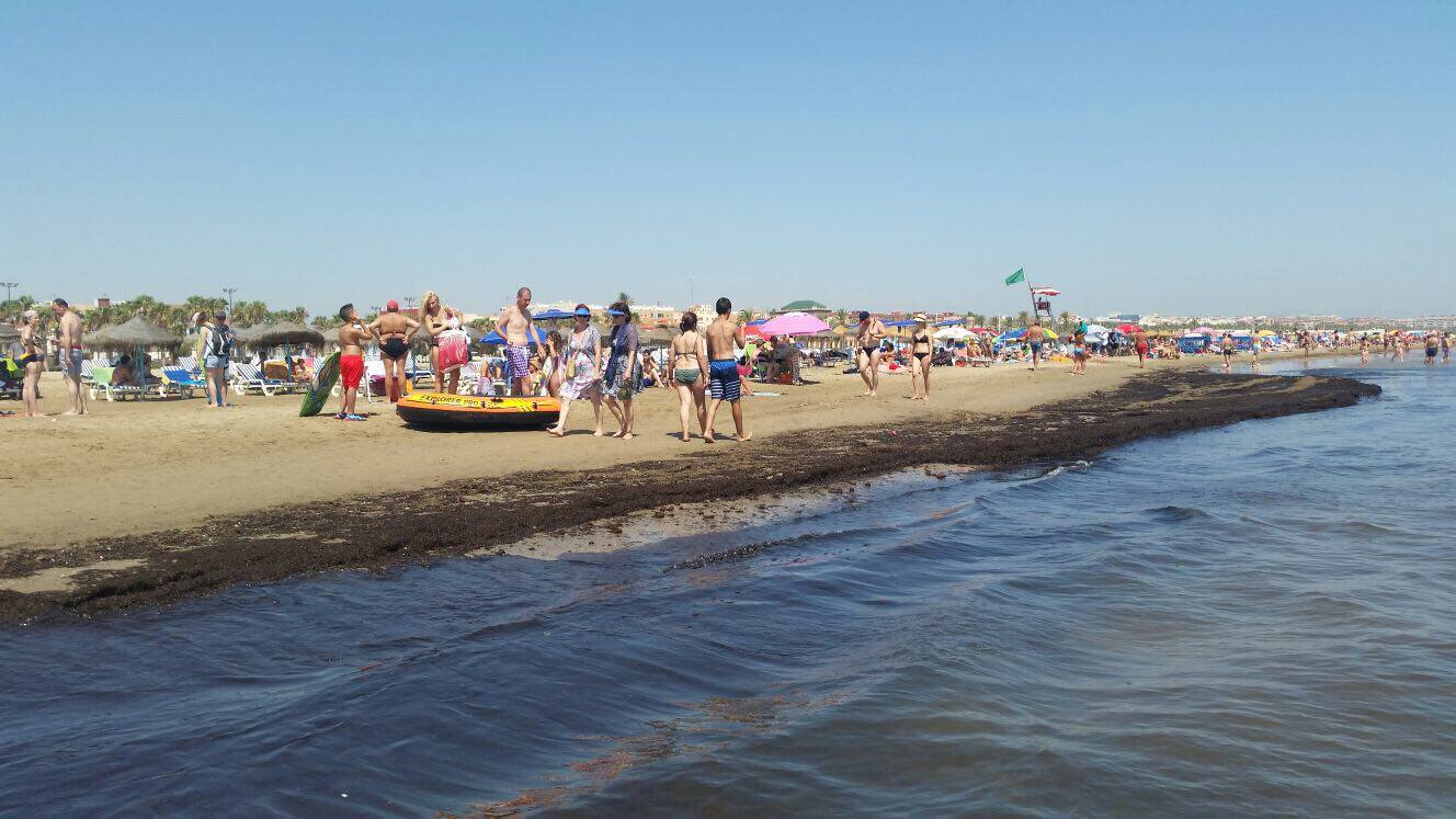 Críticas por los montones de algas en playas de Valencia