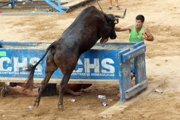 La vaca 'Rondallera' se luce en la Vall d'Uixó. 