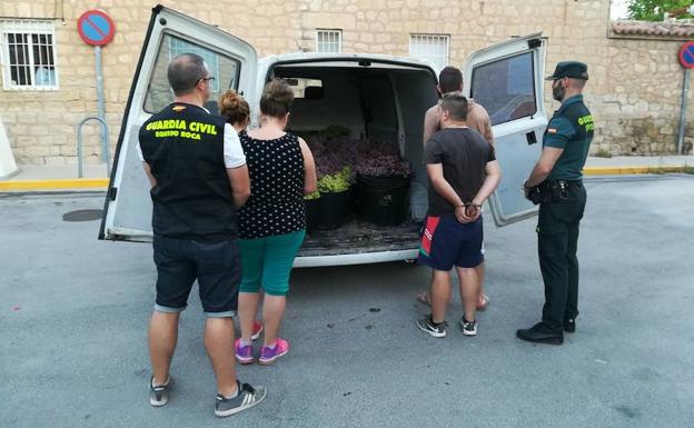 La Guardia Civil detiene a los ladrones de uva en Orito (Monforte del Cid). 