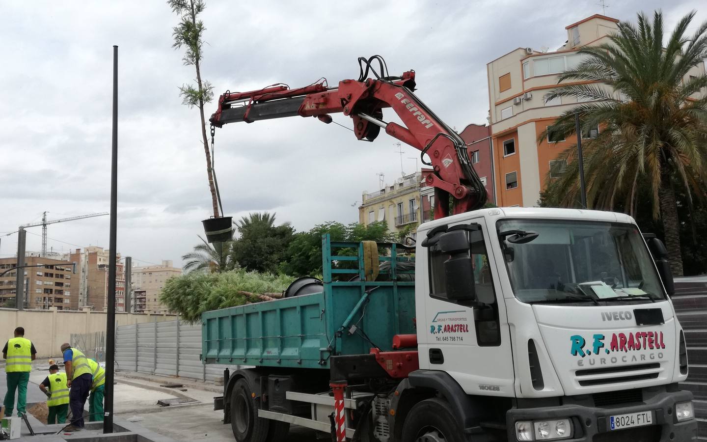 Fotos de los árboles que se anclarán al suelo en el Parque Central