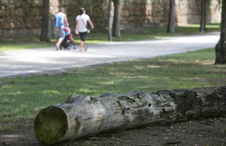 «Hay zonas que da pena ver de cómo están», critican decenas de usuarios del parque. Miles de vecinos visitan el antiguo cauce en agosto y lo encuentran falto de mantenimiento