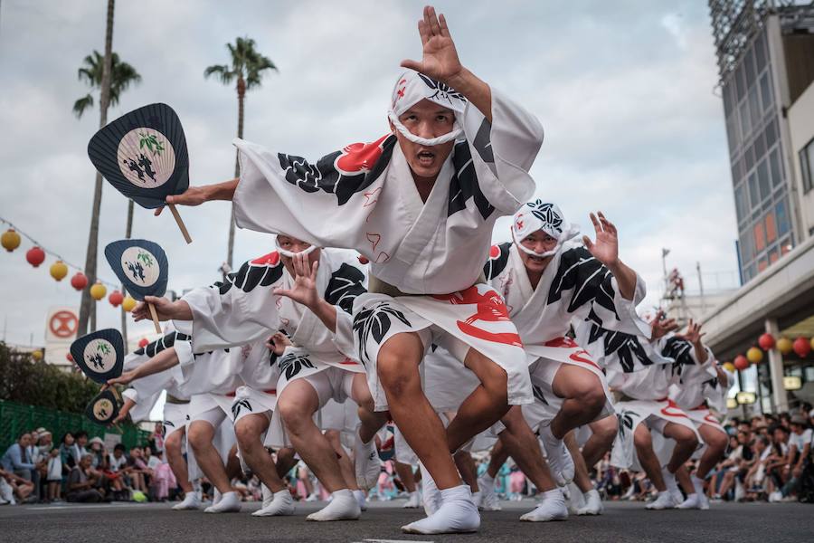  Shikoku acoge en agosto el festival de baile más popular de Japón. Durante sus cuatro días de duración, sus calles se llenan de bailarines y curiosos, alcanzando la cifra de los 1,2 millones de personas.