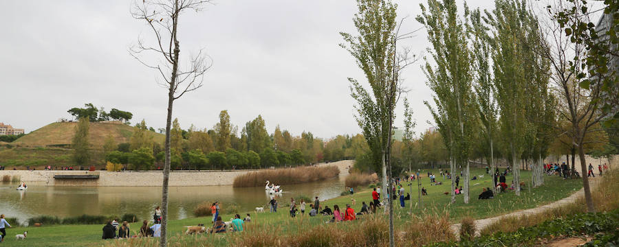 Parque de Cabecera.