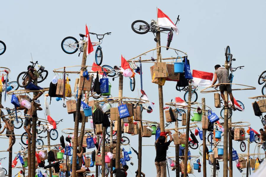 Tailanda celebra su Día de la Independencia de una manera muy peculiar: colocan en vertical los troncos talados de nogales que engrasan con aceite para dificultar la llegada a la cima en la que se encuentran varios premios. 