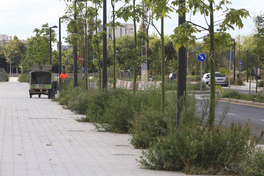 Fotos del parque bloqueado de Malilla