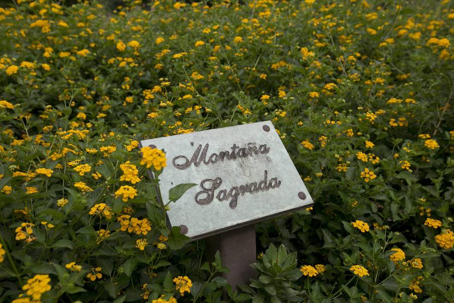 Fotos del parque de Polifilo