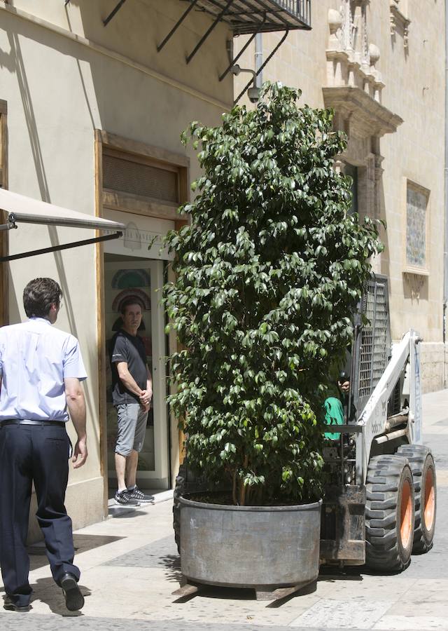 Fotos de la instalación de maceteros contra ataques terroristas