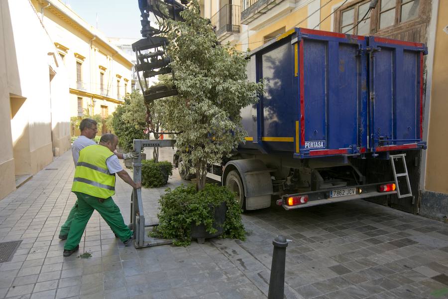 Fotos de la instalación de maceteros contra ataques terroristas