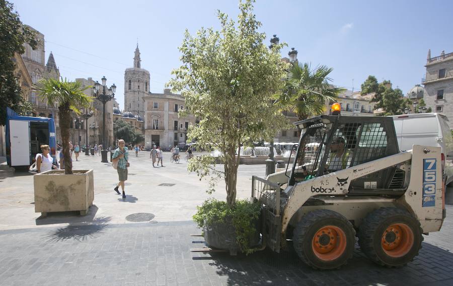 Fotos de la instalación de maceteros contra ataques terroristas