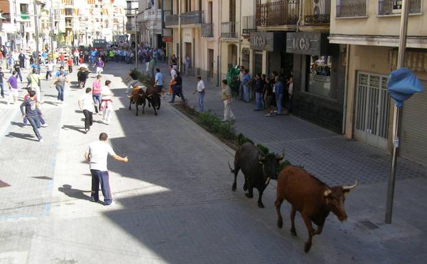 Vaquillas por dentro de un municipio