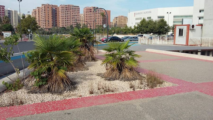 Fotos del acceso a Valencia desde la V-21