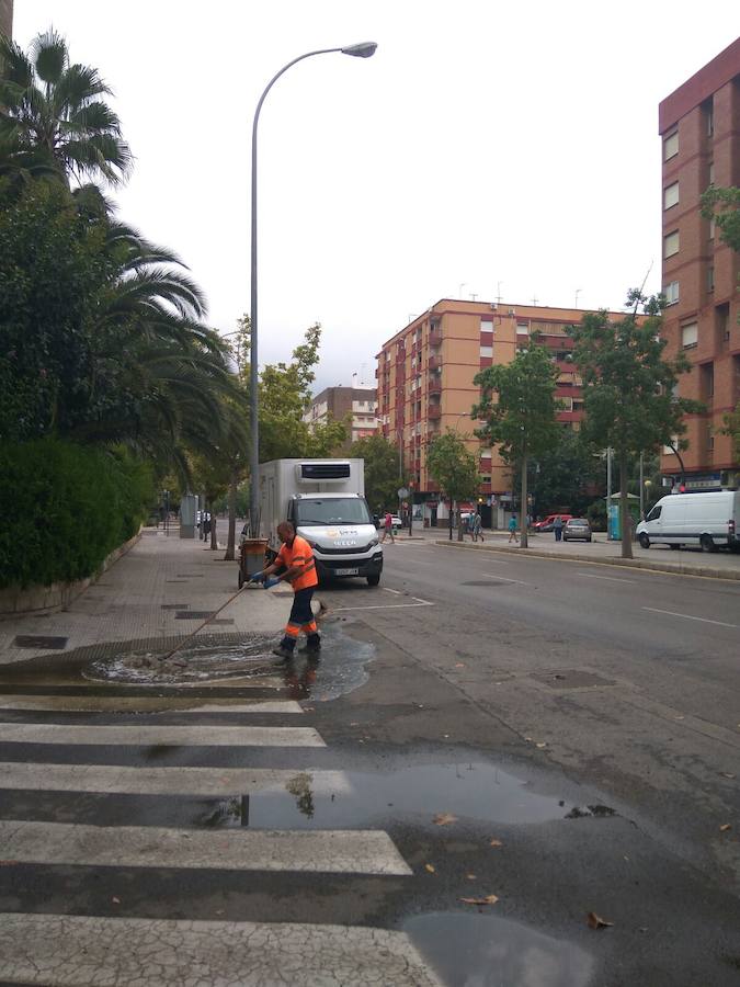 Semáforos averiados y un árbol caído en Valencia ciudad.