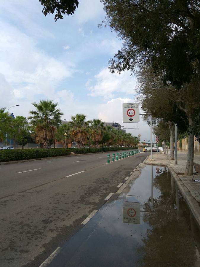 Semáforos averiados y un árbol caído en Valencia ciudad.