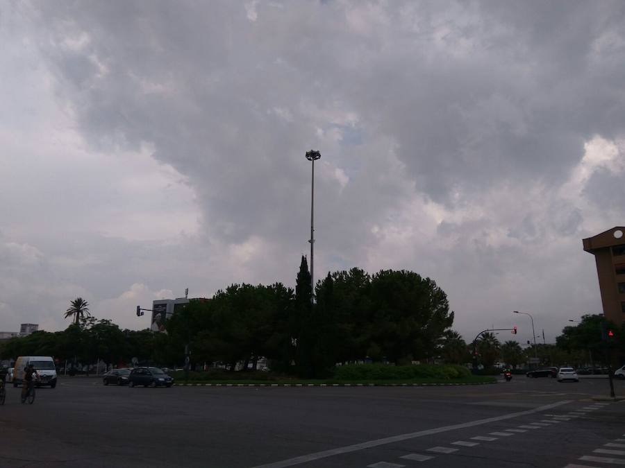 Semáforos averiados y un árbol caído en Valencia ciudad.