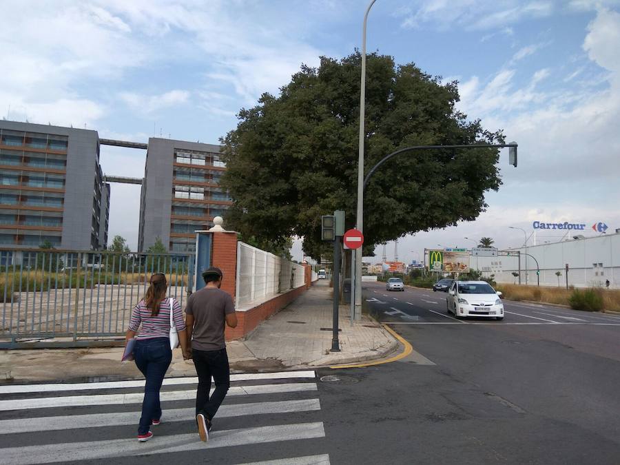 Semáforos averiados y un árbol caído en Valencia ciudad.