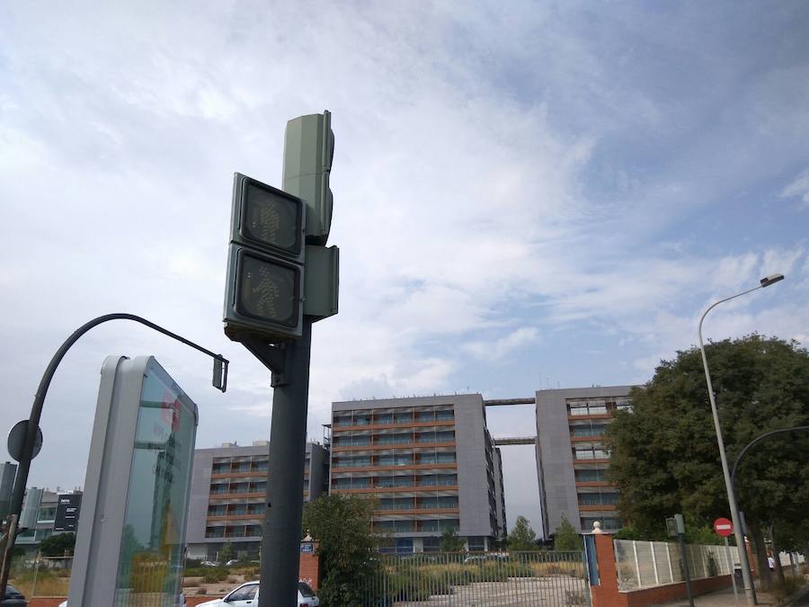 Semáforos averiados y un árbol caído en Valencia ciudad.