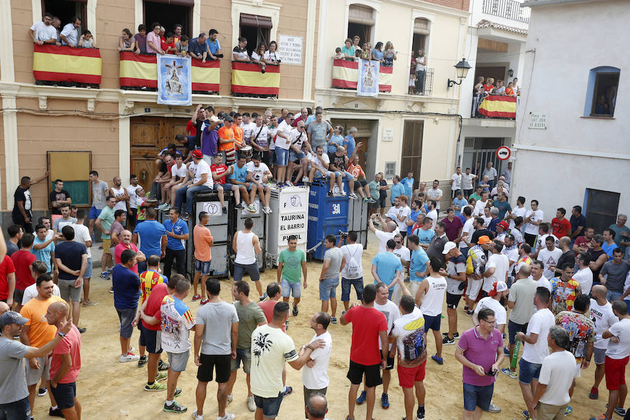 Fotos de la desencajonada de toros en Puçol