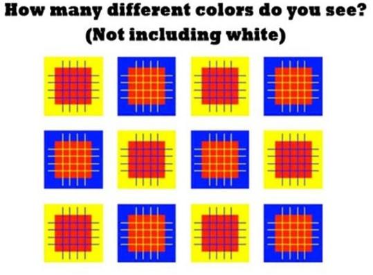 ¿Cuántos colores ves en esta imagen?