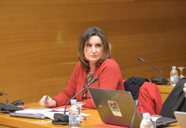 La diputada Mercedes Caballero, aspirante al congreso del PSPV en la provincia de Valencia. 