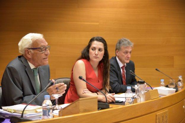 Rafael Vicente Queralt, durante su comparecencia en Les Corts. 