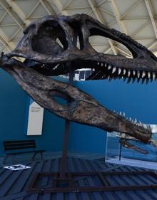 Imagen secundaria 2 - Detalle de la exposición de dinosaurios del Museo de las Ciencias. 