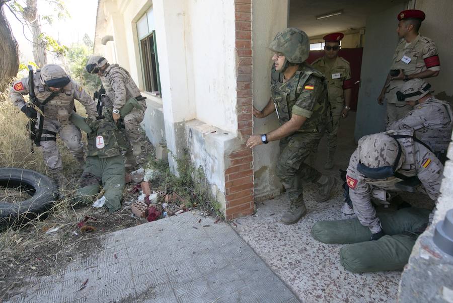 En ellos participan 562 operarios españoles y extranjeros del Ejército de Tierra, la Armada, Ejército del Aire, Establecimiento Penitenciario Militar, Unidad Militar de Emergencias y Guardia Real