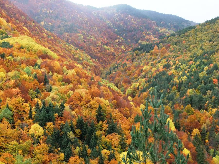 La Pardina del Señor (Huesca)