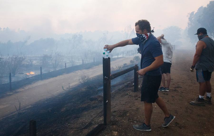 Fotos de la devastación ocurrida en California tras los diferentes incendios que han provocado una pérdida de 46.500 hectáreas.