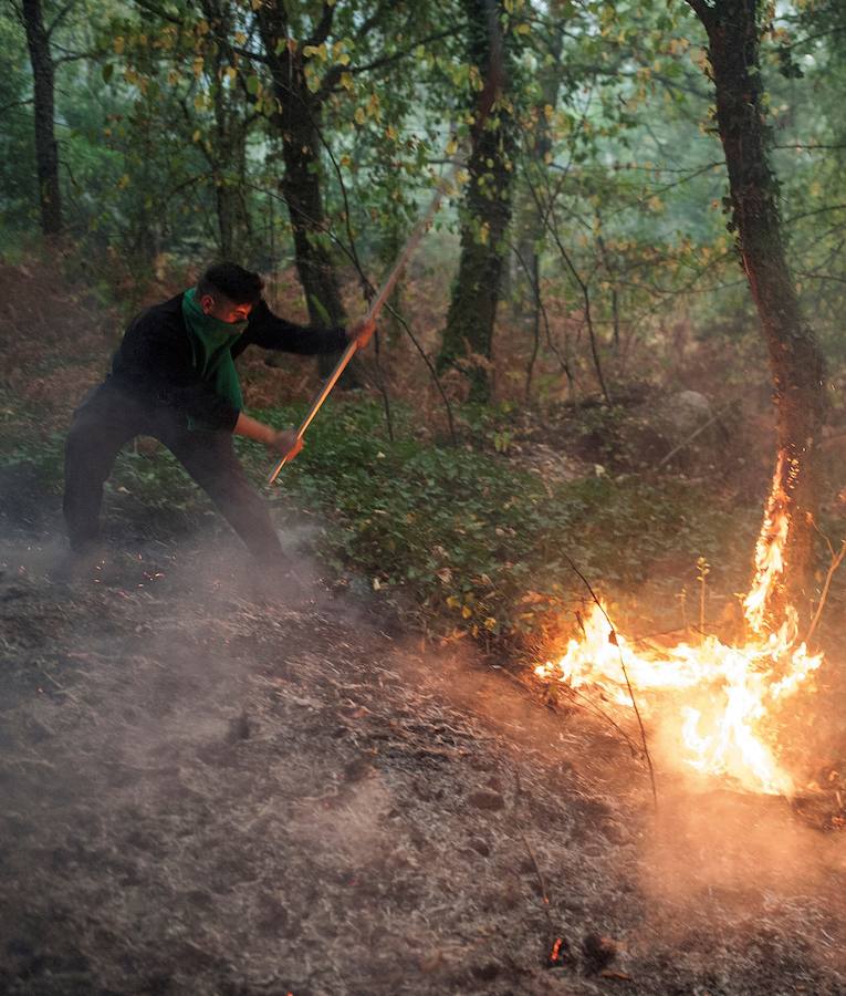 Fotos de la destrucción y la devastación provocada por los incendios forestales incontrolados en Galicia. 