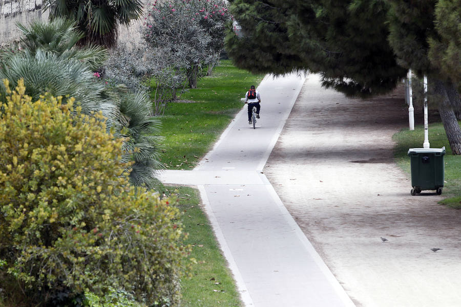 Fotos del nuevo carril bici en Valencia