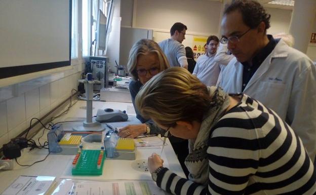 Técnico de laboratorio examina muestras de sangre.