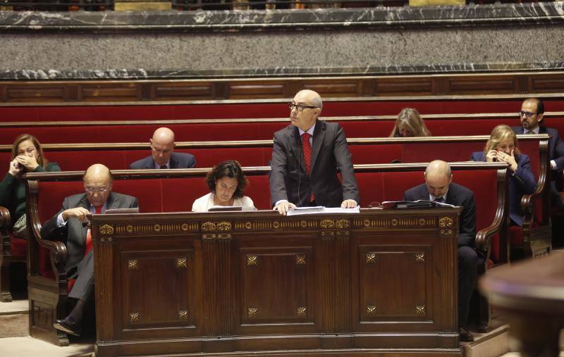 Fotos del pleno del Ayuntamiento de Valencia