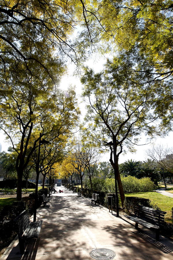 El Jardín de Polifilo. Quizás la zona verde más desconocida en la ciudad. Se encuentra detrás del Hospital Arnau de Vilanova y es un auténtico oasis de tranquilidad entre tanto tráfico en esta entrada a Valencia. 
