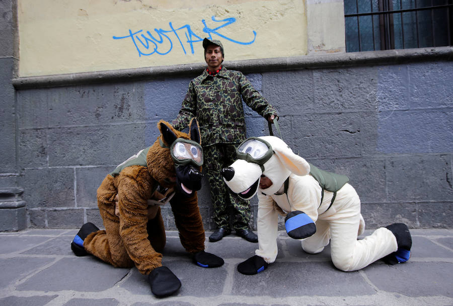 Trabajadores de una tienda de disfraces de Puebla se prueban los atuendos de los perros de rescate Titan and Frida