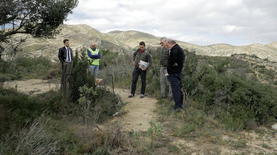 Fotos del hallazgo del diente relacionado con el caso de las niñas de Alcàsser