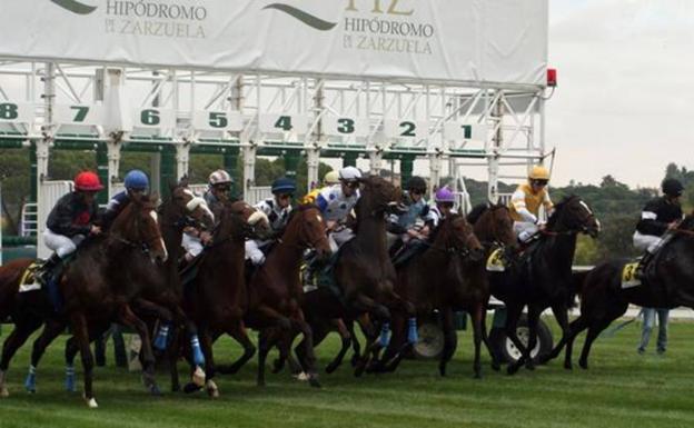 Salida de una carrera en el Hipódromo de la Zarzuela. 