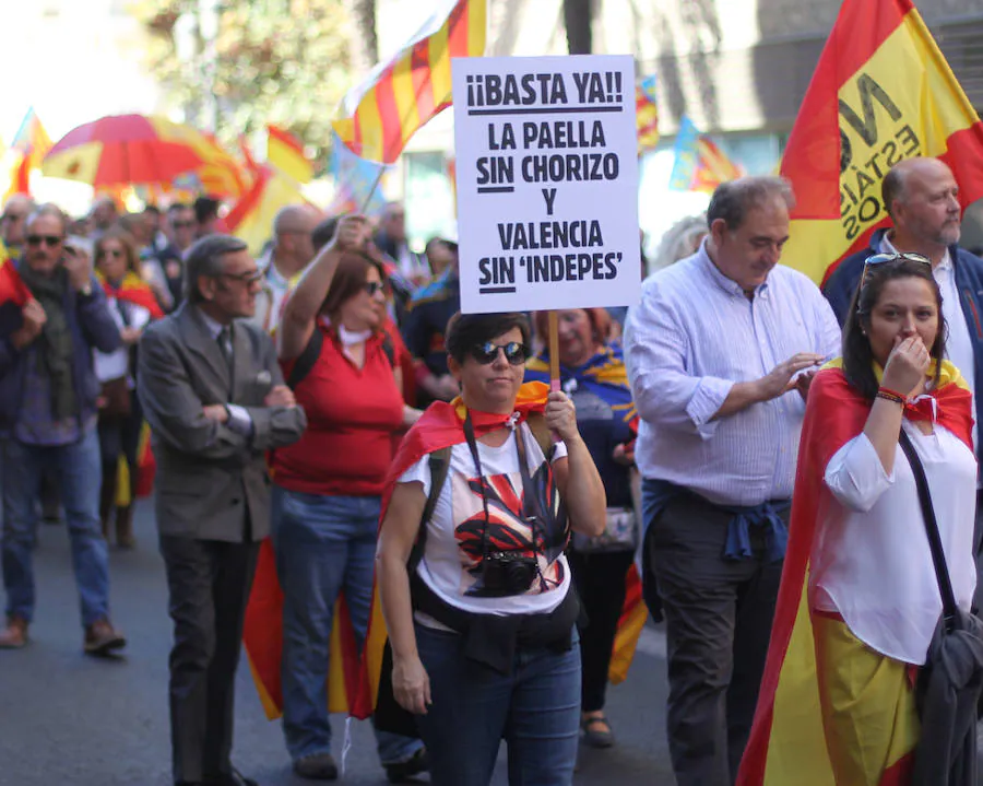 Fotos de la manifestación valencianista en Valencia